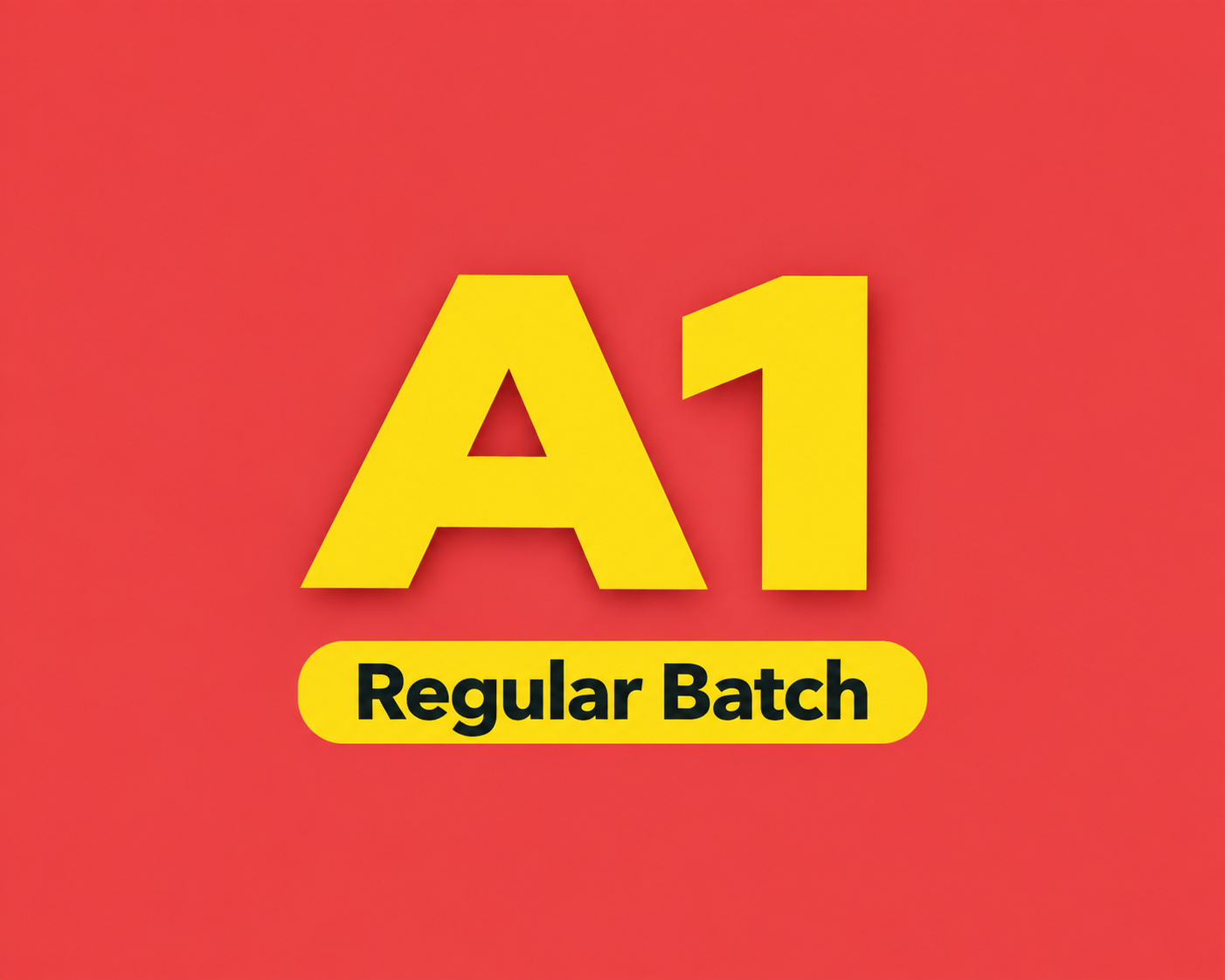 Regular A1-Re26-A1.01